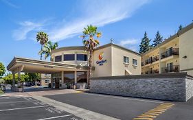 Comfort Inn Sunnyvale - Silicon Valley